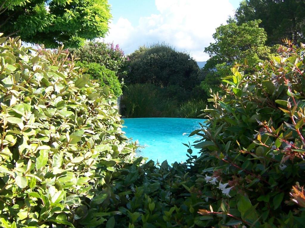 Lou Granos Bed and Breakfast Gordes Habitación foto